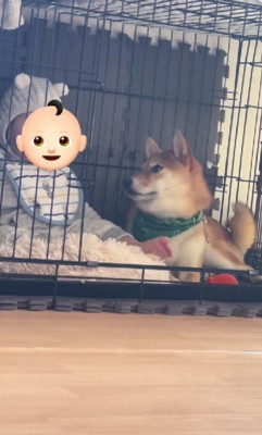 仲睦まじい2人でした!