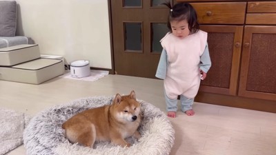 「いいなあ…」