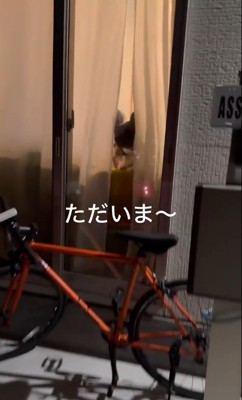 ちはやちゃん&いろは君の外出時と帰宅時の反応5