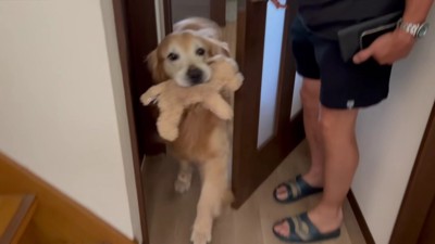 開けた途端に飛び出した！！