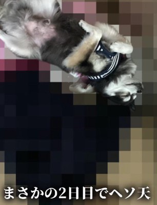 すぐに甘えるように…