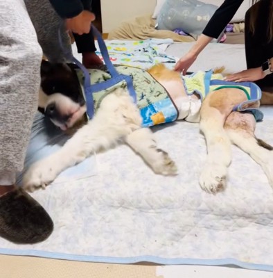 補助ベルトを装着