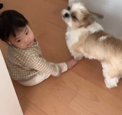 コロくんと赤ちゃんのシンクロ4