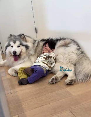 「ママが見てるよ…？」