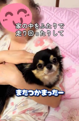 こまちゃんとおばあちゃん9