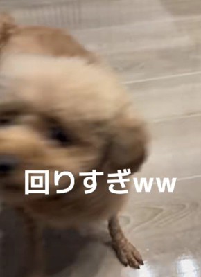 高速回転でフィニッシュ♪