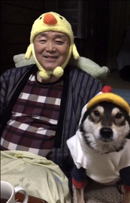 ヒヨコとニワトリの仮装をするおじいちゃんと犬