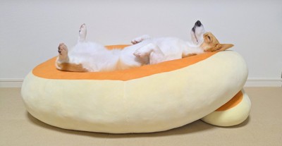 クッションの真ん中で寝る中型犬