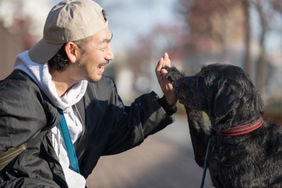 愛犬とハイタッチ