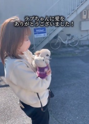 ぬいぐるみを抱っこする犬