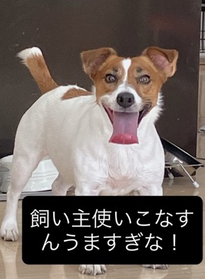 中身は人間！？