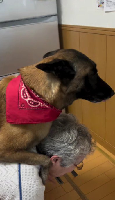 おばあちゃんの背中！！