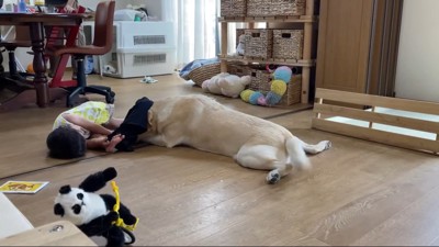 「めっちゃ眠いけど参加したいな～…」