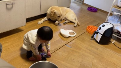 ばいきんまんは回収