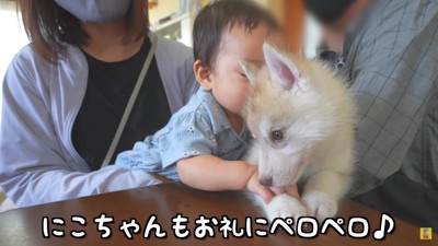 子犬さんからもお礼