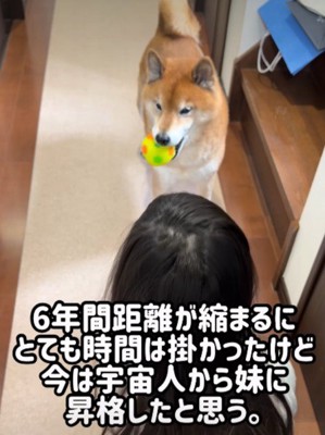6年後の光景に涙…