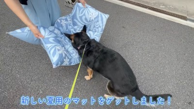 気に入ってくれるかな…?