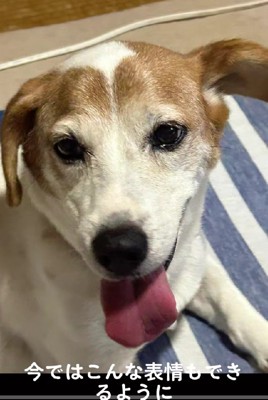 幸せそうな笑顔に涙