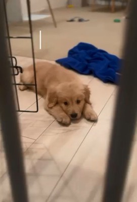 生後3か月の麹くん1