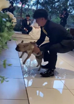 最後は捕獲されて…