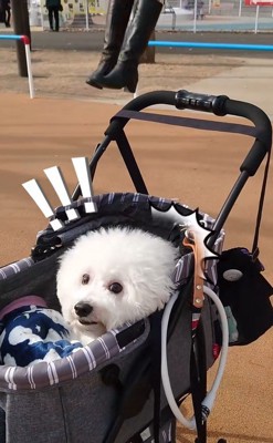 ミルクくんのナイスリアクション6