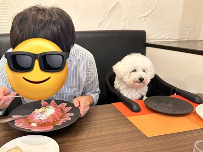 レストランでお食事