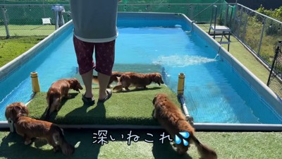 プールに到着