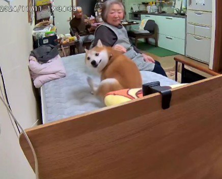 ソワソワが止まらない…