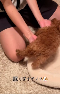 抱えられて移動するシャルマンくん3