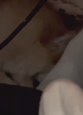 「バレてないよな…?」