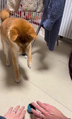 狙いを定めて…