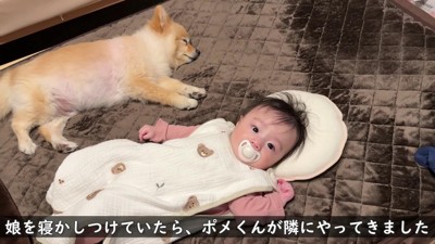 寝かしつけにも挑戦