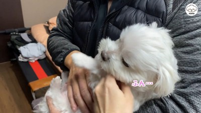 ナナくんとパパさんの再会5