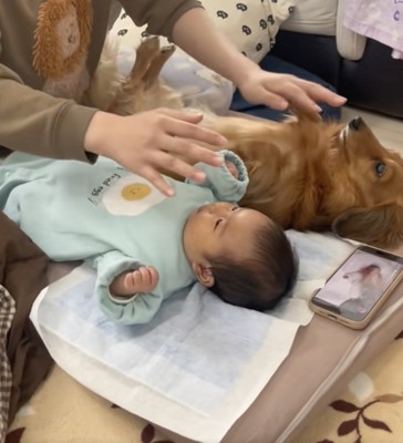 優しいふれあいタイム