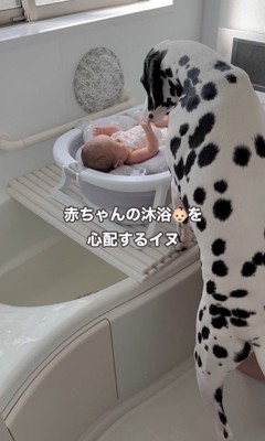 赤ちゃんを心配するジルくん6