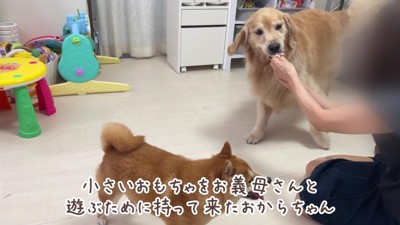 「これ引っ張って～♪」