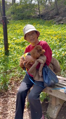 女性に抱っこされる犬