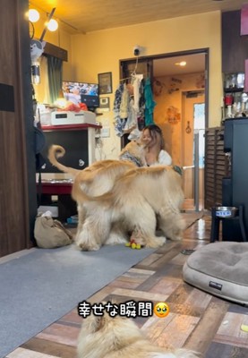 長女の顔を舐める大型犬