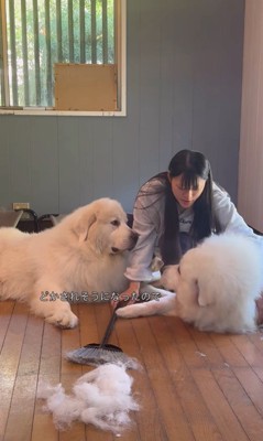 掃除中のグラくん&ダンボくん9