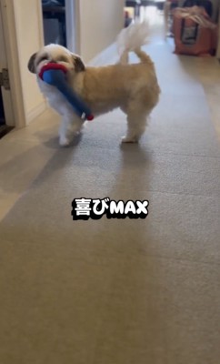 疲れも吹っ飛びます