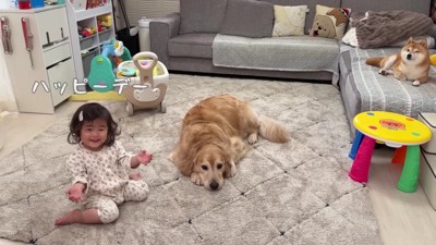 「ハッピーデー♪」