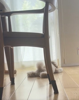 溶けちゃいました