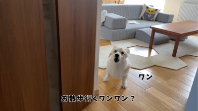 吠える犬