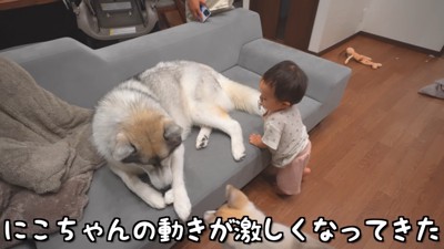 にこちゃんが暴れ出すと…