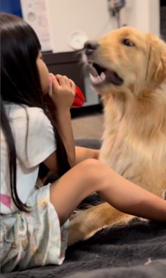 女の子とシンバくんのやり取り4