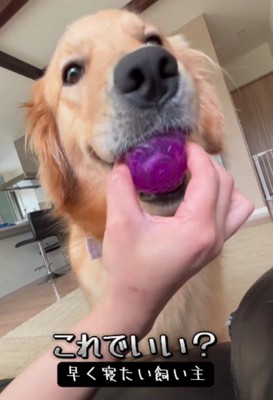 「これでいい?」