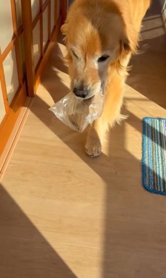 お手伝いするホット君8