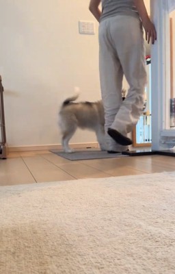 パウくんとママ