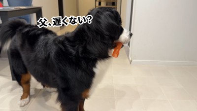 「そういえば…パパ、遅くない?」