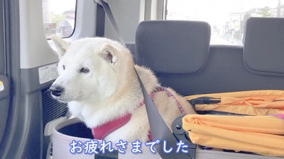 長いことお疲れ様